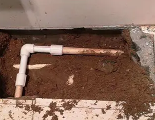 封开测漏水哪家好