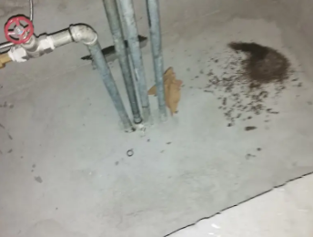 封开卫生间测漏水价格明细