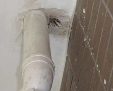 封开漏水检测哪家好